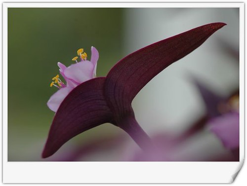 DSC_4718_nEO_IMG