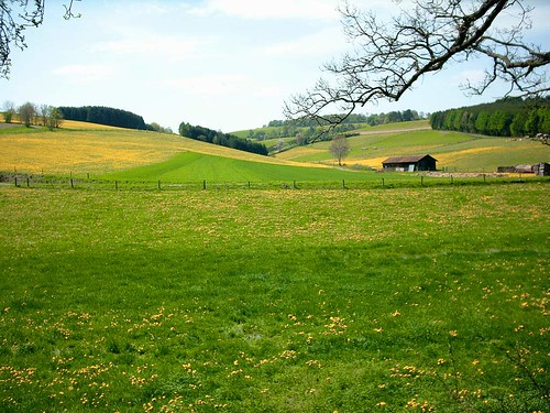 Rural Germany