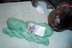 Phoebe inspects yarn