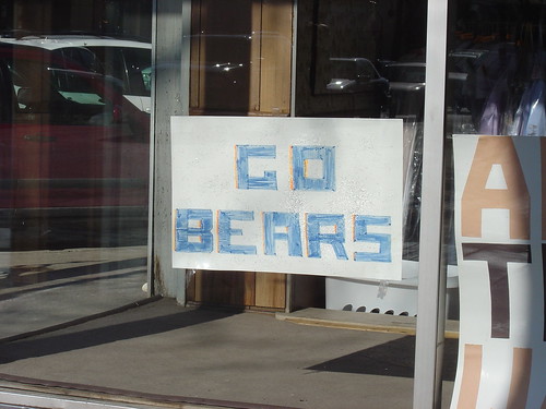go bears