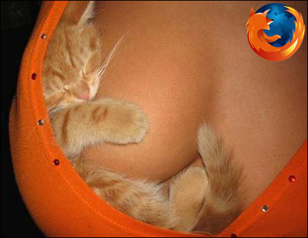 Firefox Boobies