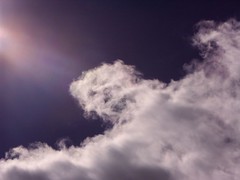 Image of clouds evoking bird wings