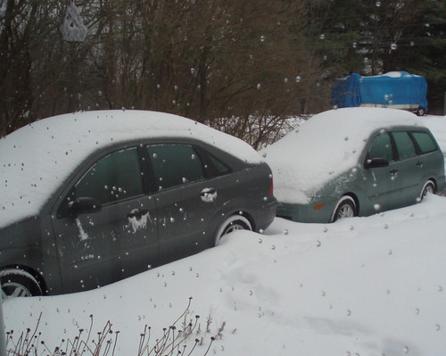 Snow cars