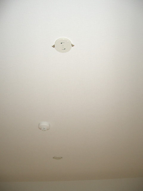 うちの天井はこんな感じでしたが。　その１