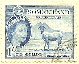 Somaliland Protectorate - One shilling