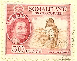 Somaliland Protectorate - 50 cents