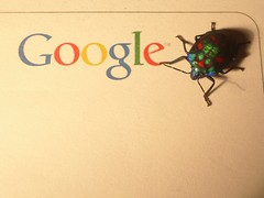 Google Bug