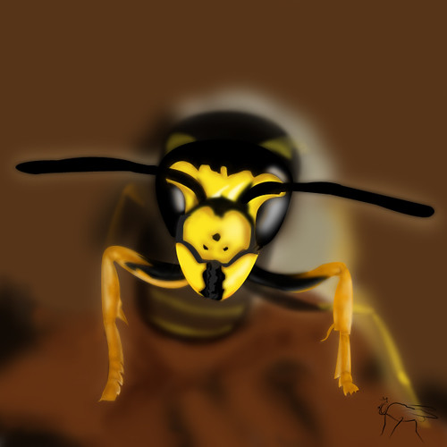 484775756_121ed5d3ef.jpg
