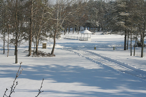 Photo of Snow Feb 6, 2007