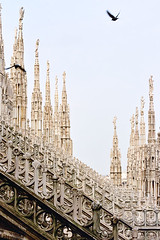 Milan Duomo Roof