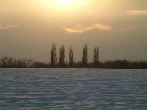 Five watchmen in the sun on a snowy field