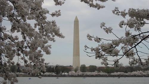 2007 Cherry Blossom Festival in Washington, DC