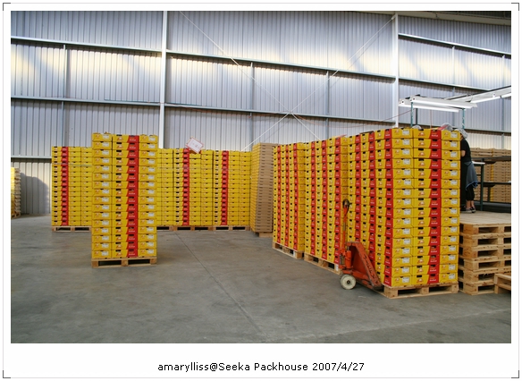 [NewZealand2007] 紐西蘭奇異果Seeka 包裝工廠大公開(2)分級外銷＆自動化流程 @amarylliss 艾瑪。[ 隨處走走]