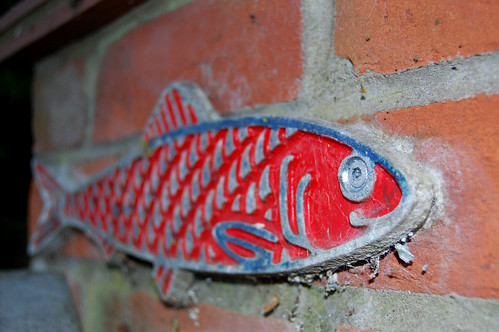 Red herring @ Lowestoft, Suffolk