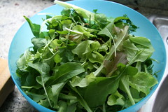 bowl of lettuce