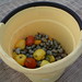 bucket of cashews