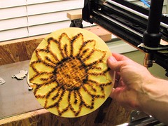sunflower papad