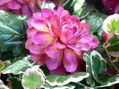 Anglų lietuvių žodynas. Žodis artificial flower reiškia dirbtinė gėlė lietuviškai.
