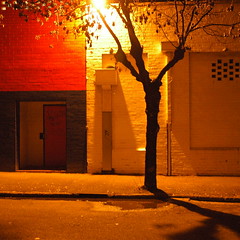 orange tree by red door