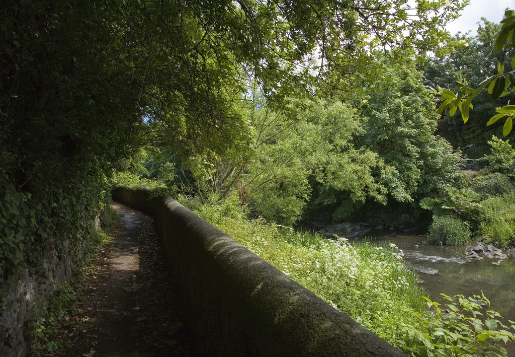 ALONG THE BANKS OF THE DODDER (Between Clonskeagh and Milltown)
