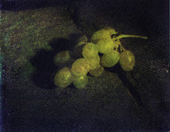 grapes • <a style="font-size:0.8em;" href="http://www.flickr.com/photos/87605699@N00/38009530/" target="_blank">View on Flickr</a>