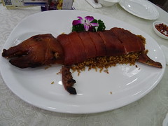 Anglų lietuvių žodynas. Žodis suckling pig reiškia žindomi kiaulių lietuviškai.
