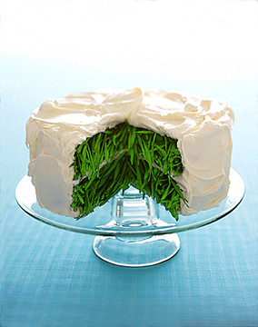 Grass Cake
