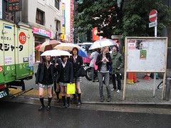 shibuya in rain