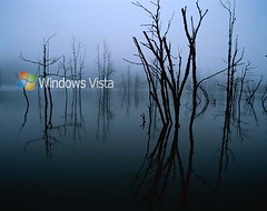 Vista_1 at Flickr.com