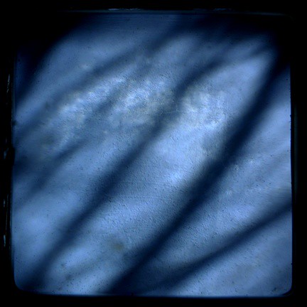 MAC blue - tree shadows