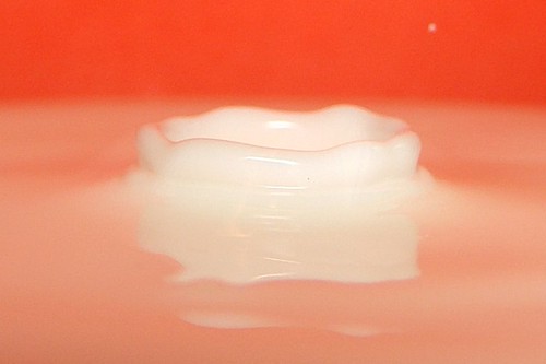 486548733_19d7ec8a3c.jpg
