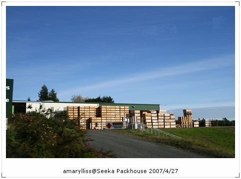 [NewZealand2007] 紐西蘭奇異果Seeka 包裝工廠大公開(1)包裝產線 @amarylliss 艾瑪。[ 隨處走走]