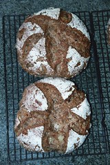 Olive Bread 11