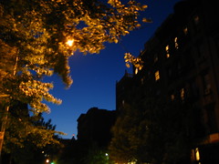 image of a night sky, taken from the ground - you can see the moon peeking through a tree canopy; on the other side are apartment buildings.