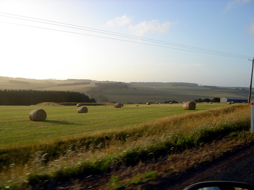36456590_2115d05d91.jpg