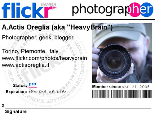 HeavyBrain flickr badge