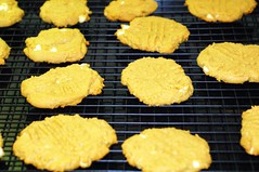 Baking - PB Cookies - 10-7-07 (4)