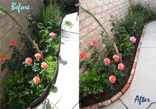 Brick lined garden planter before and after