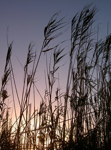 Sunset, s'Albufera salt marshes