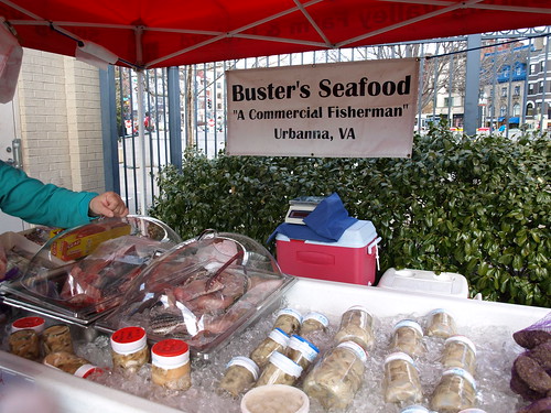 buster's seafood