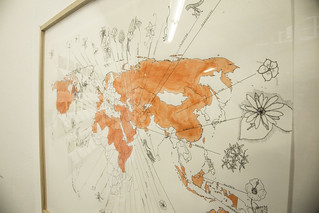 A Map Showing the Home Country of Each Man Held at the Guantánamo Bay Detention Center