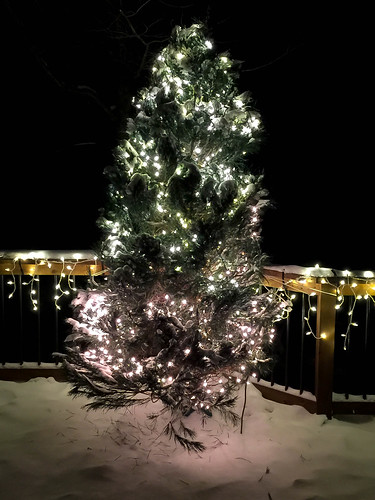 The tree out on the deck. • <a style="font-size:0.8em;" href="http://www.flickr.com/photos/96277117@N00/31802846835/" target="_blank">View on Flickr</a>