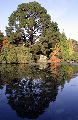 Sheffield Park Garden