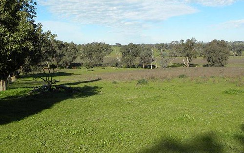 Lot 3 Forbes Lane, Young NSW 2594