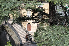 Genoa steps