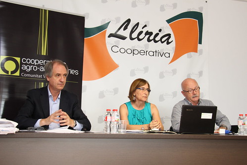 Asamblea Sectorial Frutos Secos - Lliria (30-06-2015)