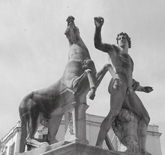Dioscuri - Piazza del Quirinale - Roma