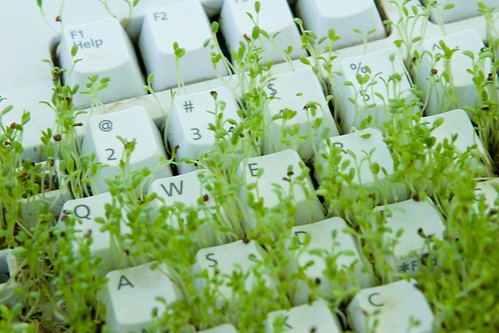 Grow Grass on the Keyboard 