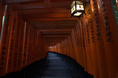 Lights at Fushimi Inari Shrine dawn