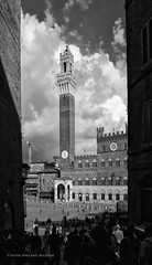 Siena - img1 • <a style="font-size:0.8em;" href="http://www.flickr.com/photos/15452905@N02/32179275711/" target="_blank">View on Flickr</a>